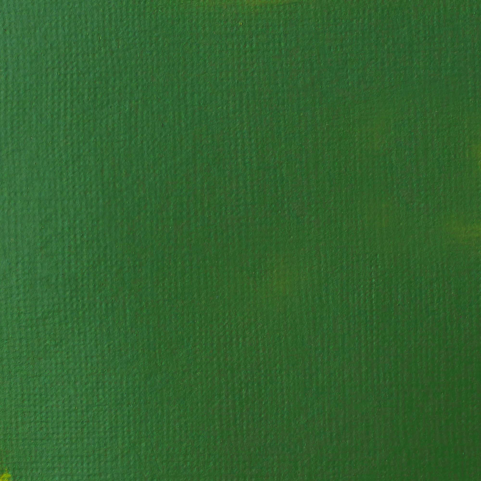 Liquitex Acrylic Paint